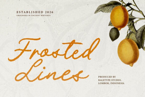 Frosted Lines: A Typeface Rooted in History and Texture